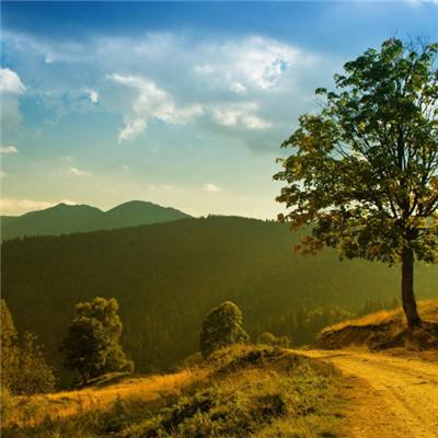 宝威体育官方app下载